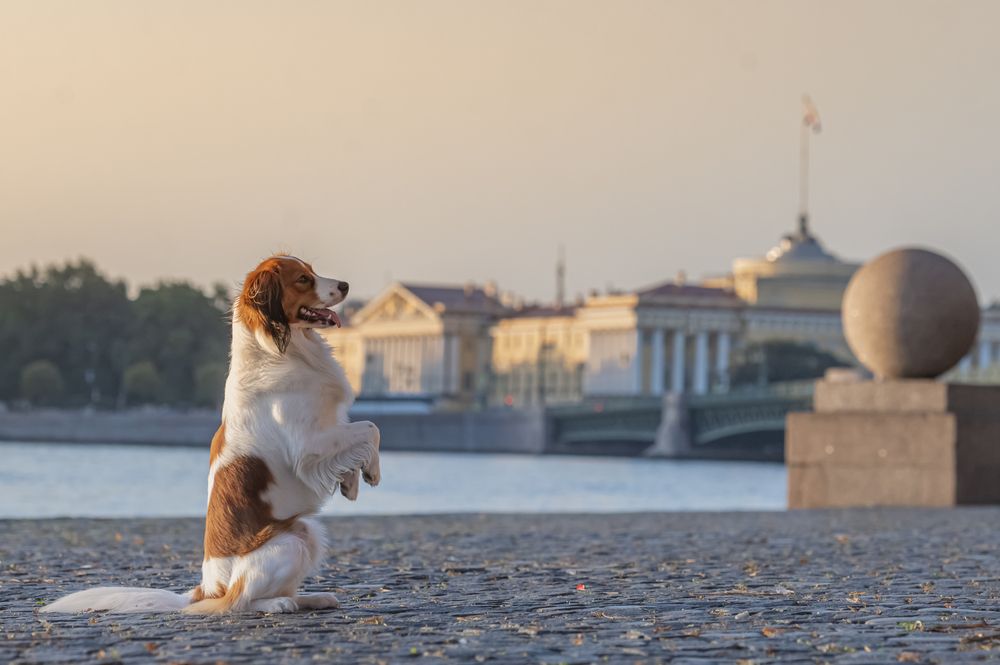 Photograph by Мария Новоселецкая