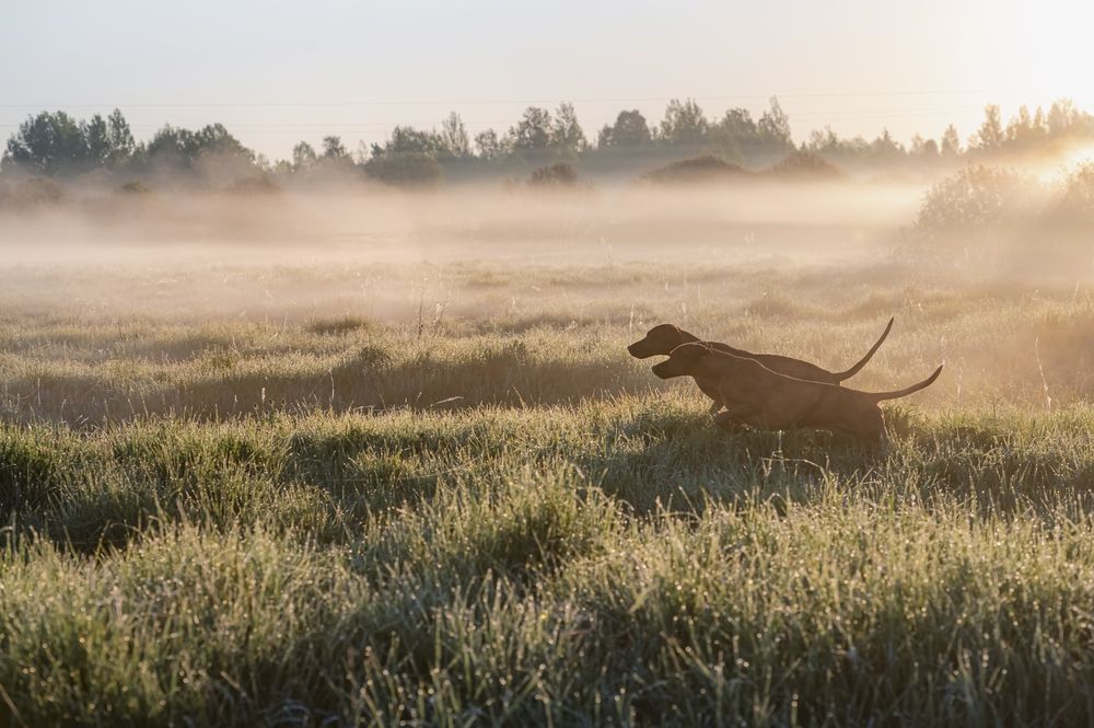 Photograph by Мария Новоселецкая
