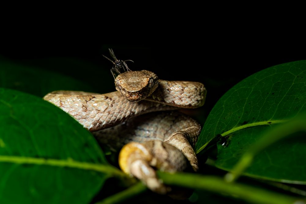 Photograph by DEEPA GIRISH