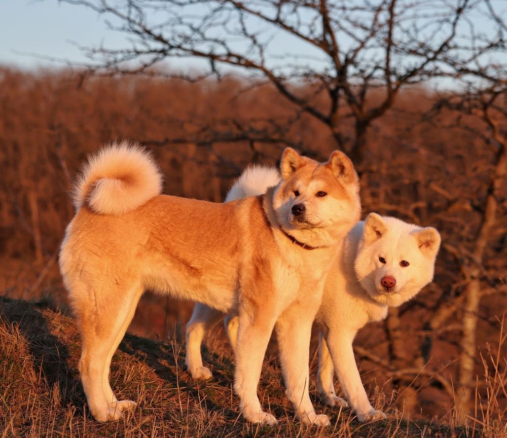 Photograph by Sergey Chernyak