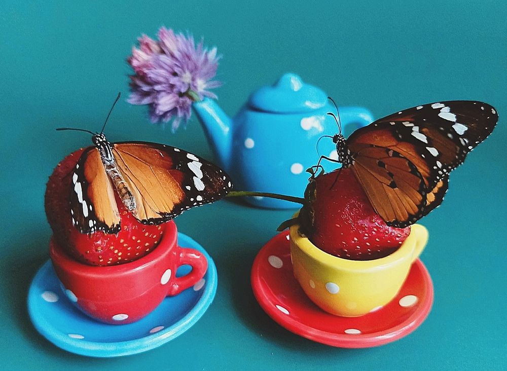 Photograph by Наталья Шумилова