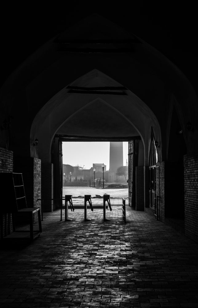 Photograph by Евгений Моляшов