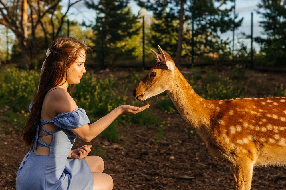 Photograph by Анна Тарасова