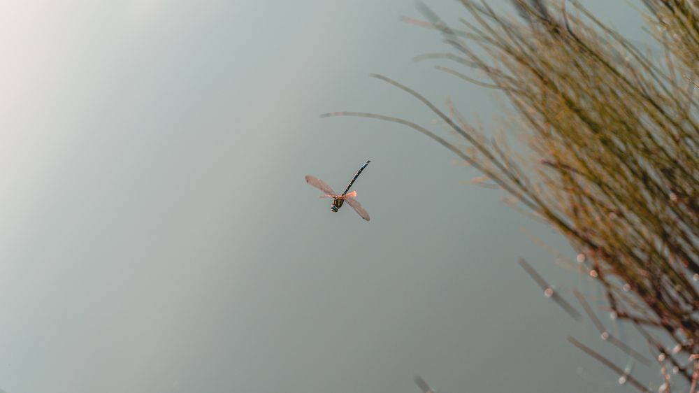 Photograph by Иван Никонов