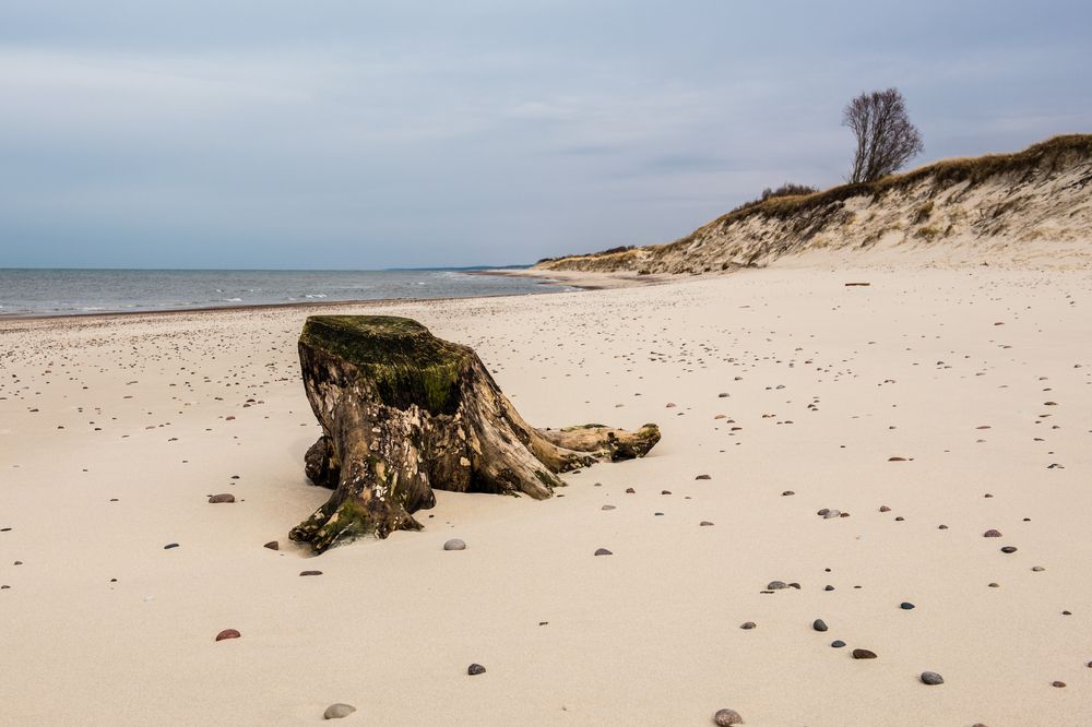 Photograph by Евгений Моляшов