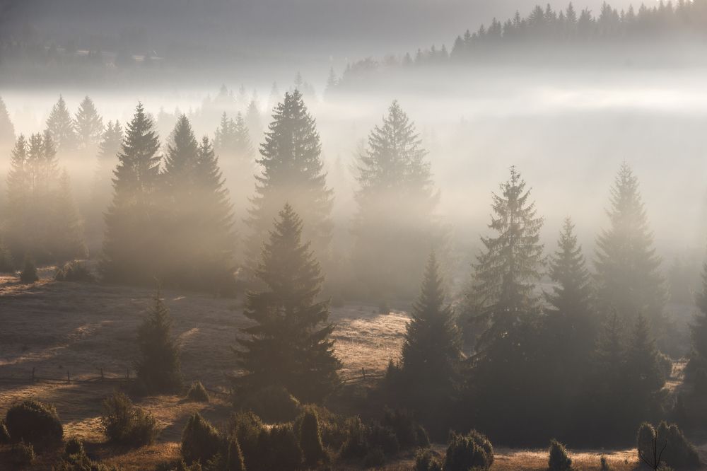 Photograph by Антон Ростовский