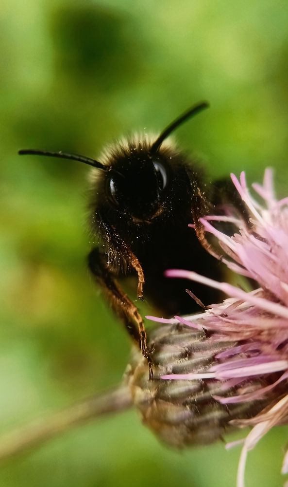 Photograph by Наталья Шумилова