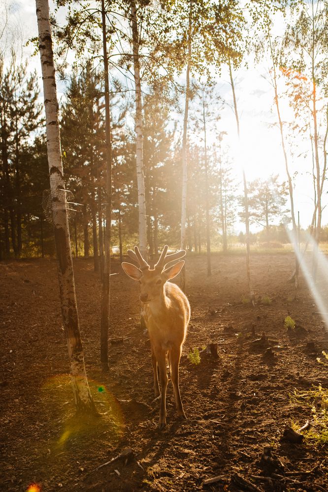 Photograph by Анна Тарасова