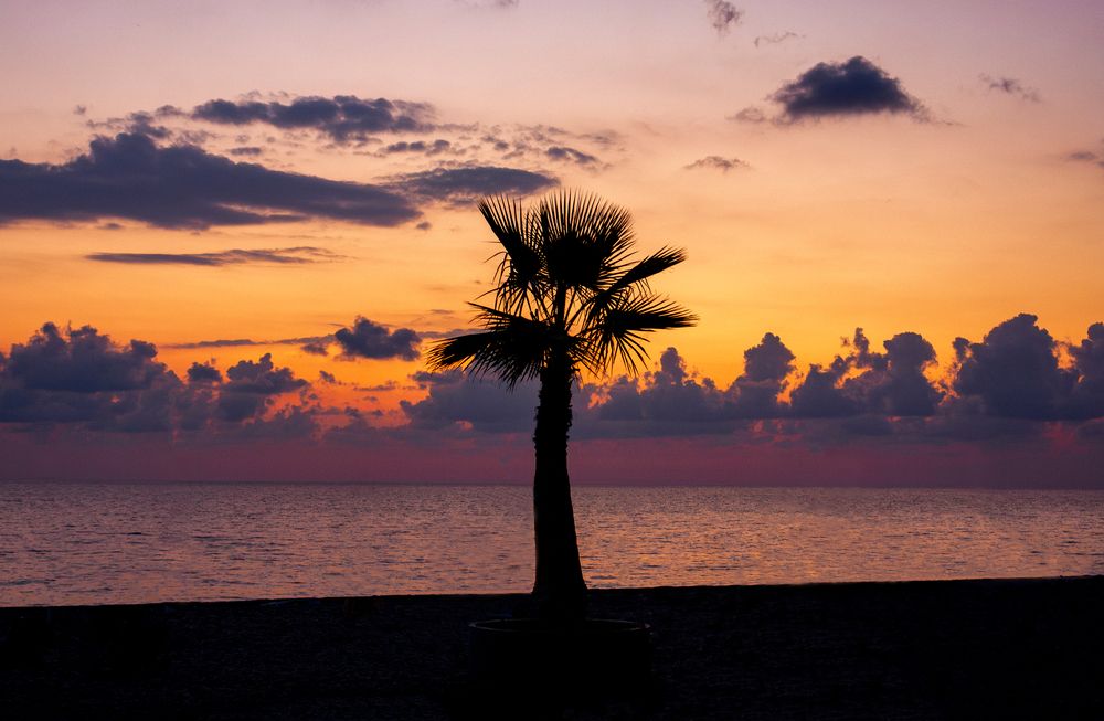 Photograph by Nikolay