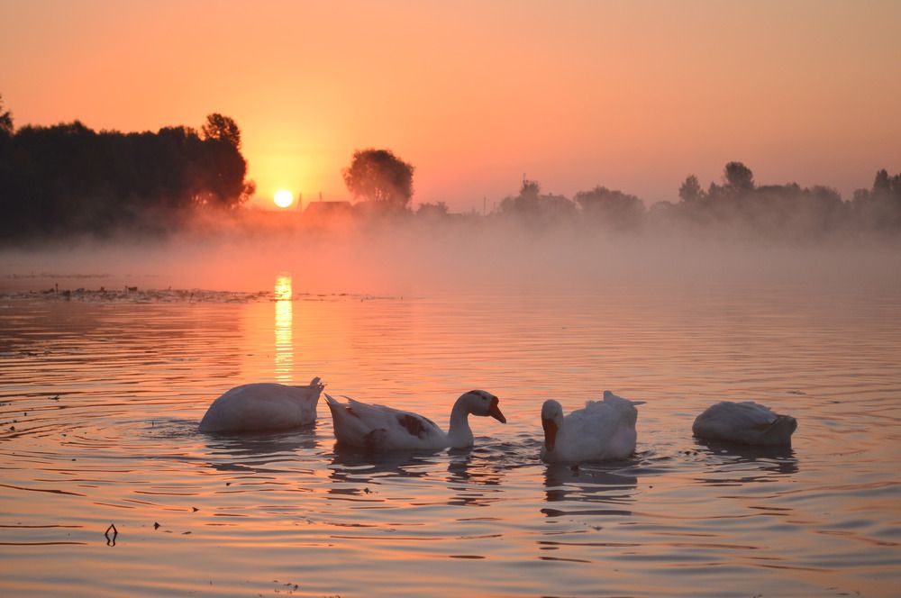 Фотография автора Янина Черпухина-Андреева