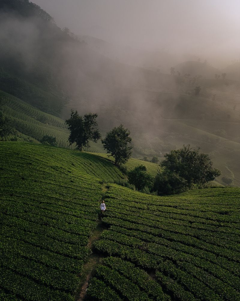 Photograph by Анастасия Сауль