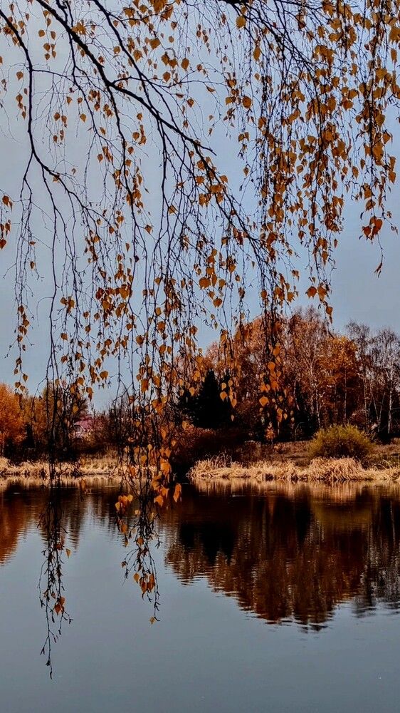 Photograph by Заира