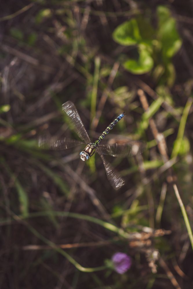 Photograph by Anna Dubinina