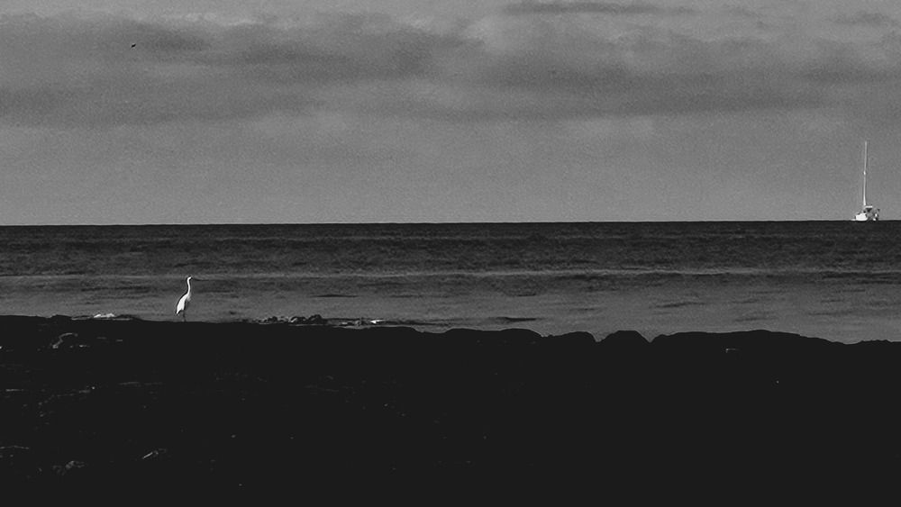 Photograph by Renata Subic