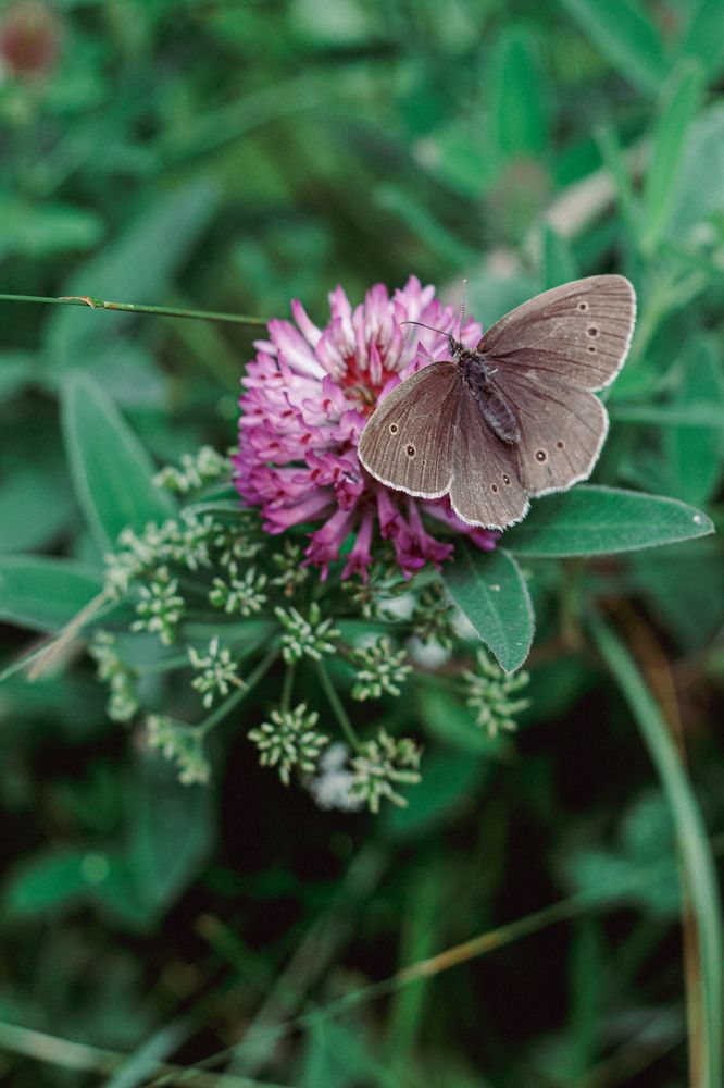 Photograph by Anna Dubinina