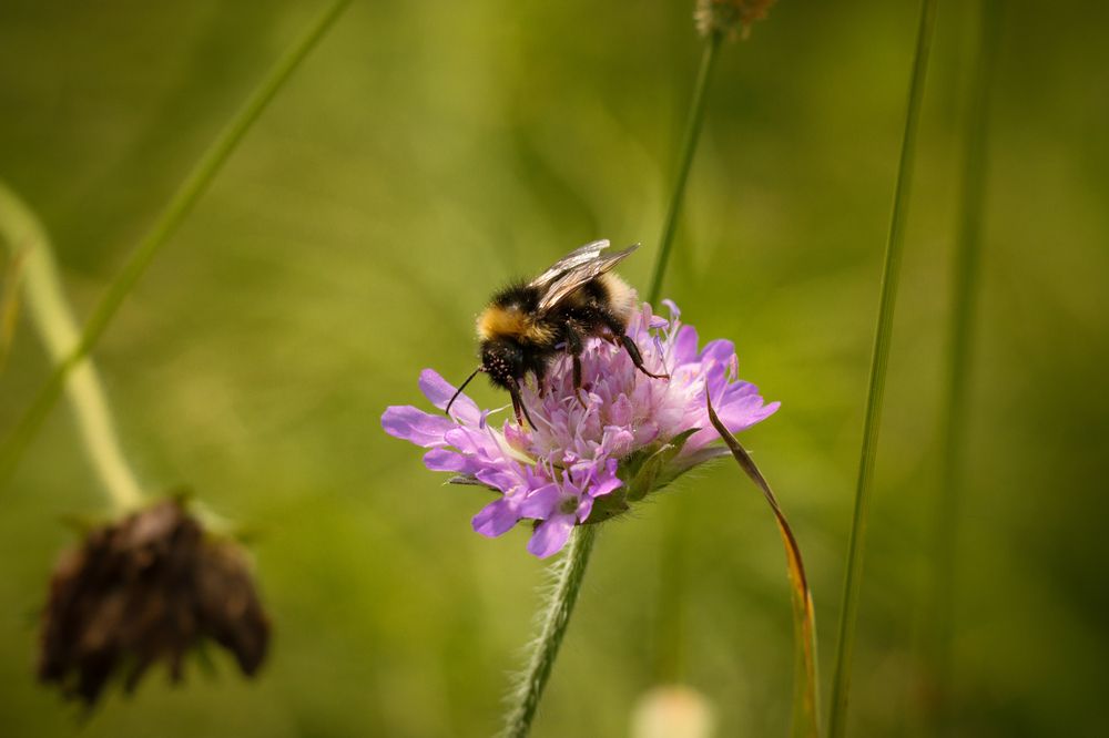 Photograph by Ангелина Высочина