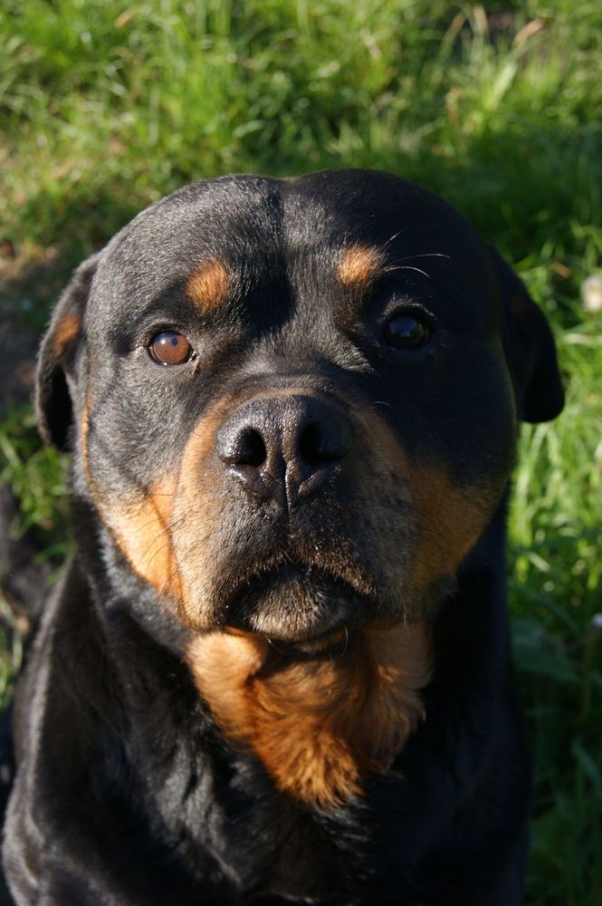 Photo #12040628