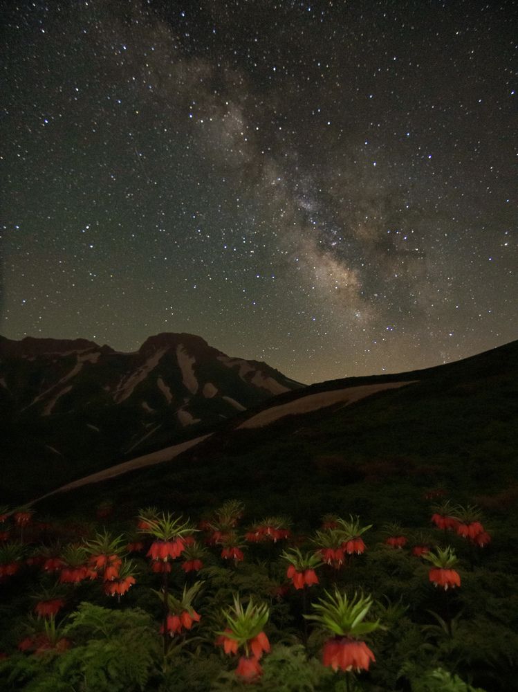 Фотография автора mohammad Alipour