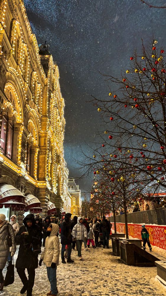 Фотография автора Елизавета Синицына