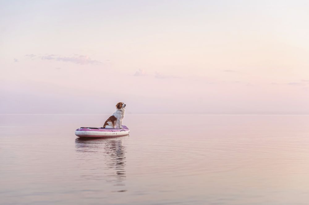 Невесомость