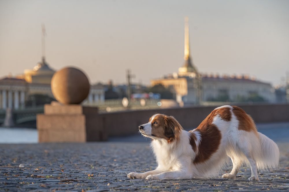 Photograph by Мария Новоселецкая