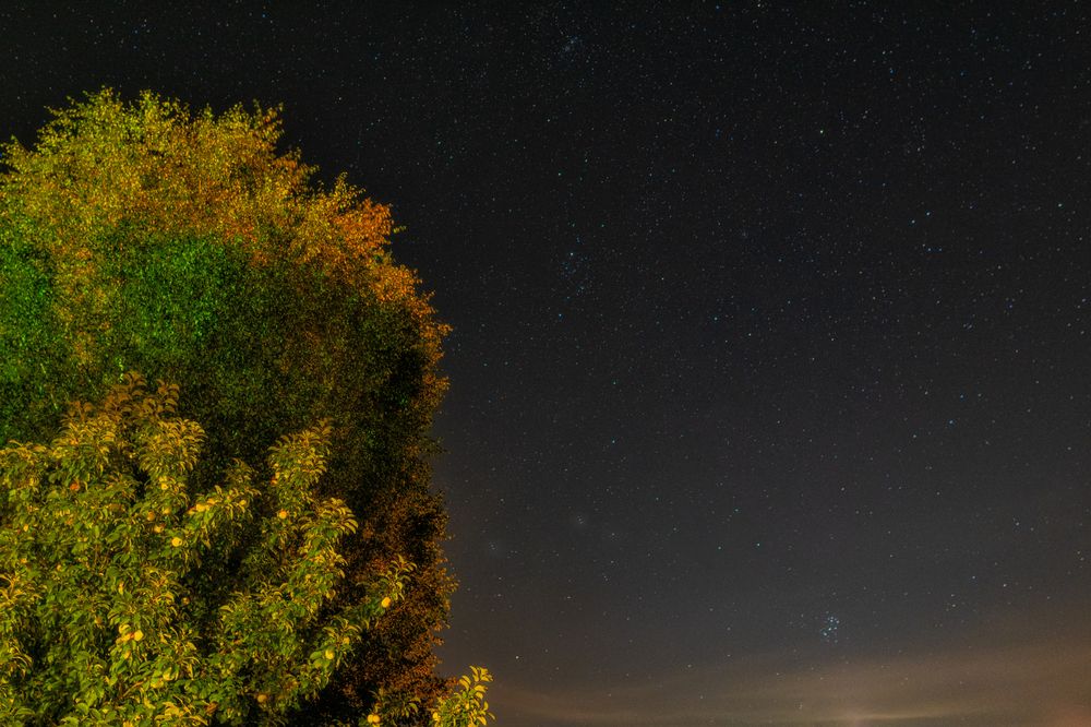 Photograph by Дмитрий Кудрявцев