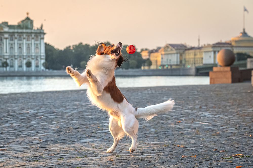 Photograph by Мария Новоселецкая