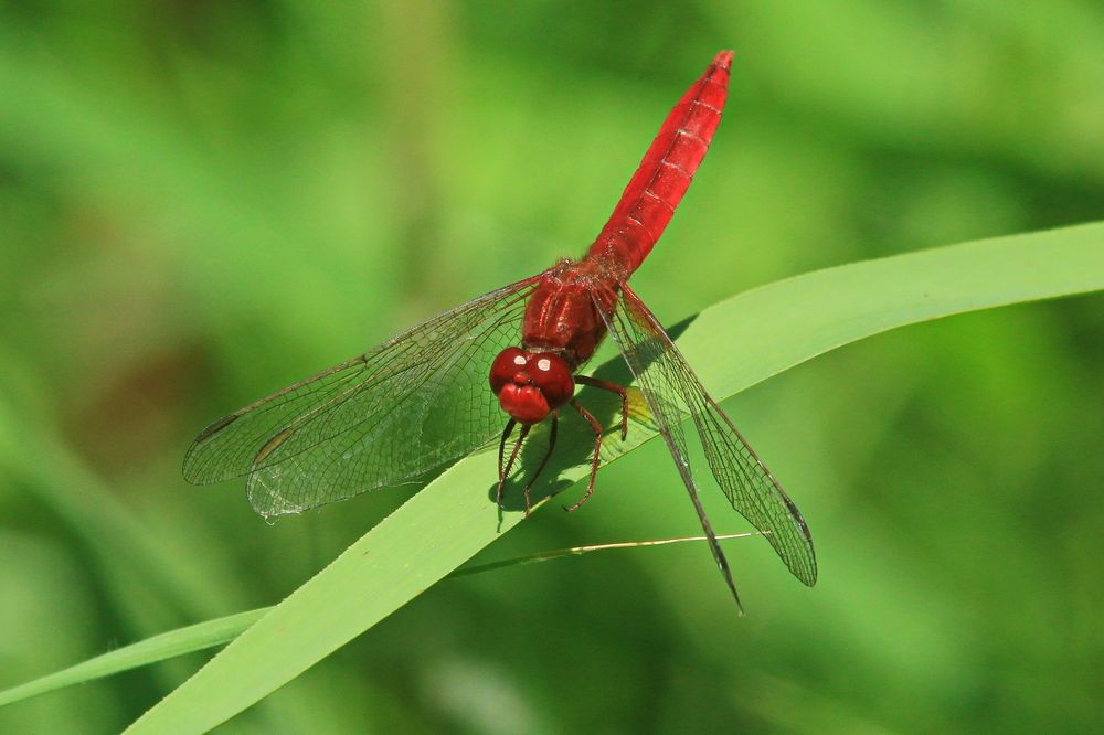 Photograph by Вологиров Артур Гимиранович