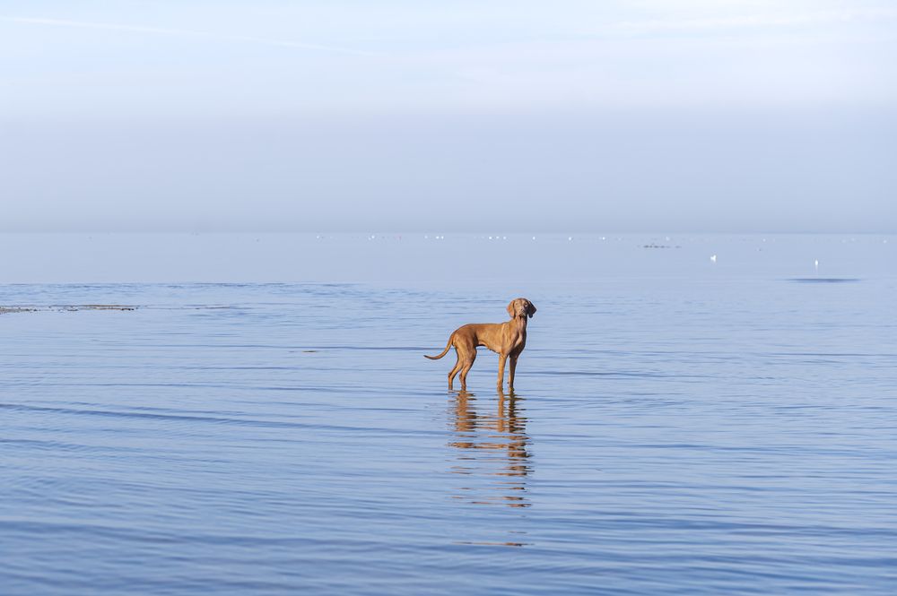 Photograph by Мария Новоселецкая