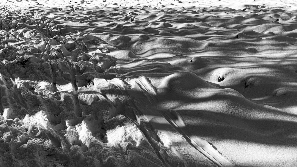 Photograph by Flup Ja
