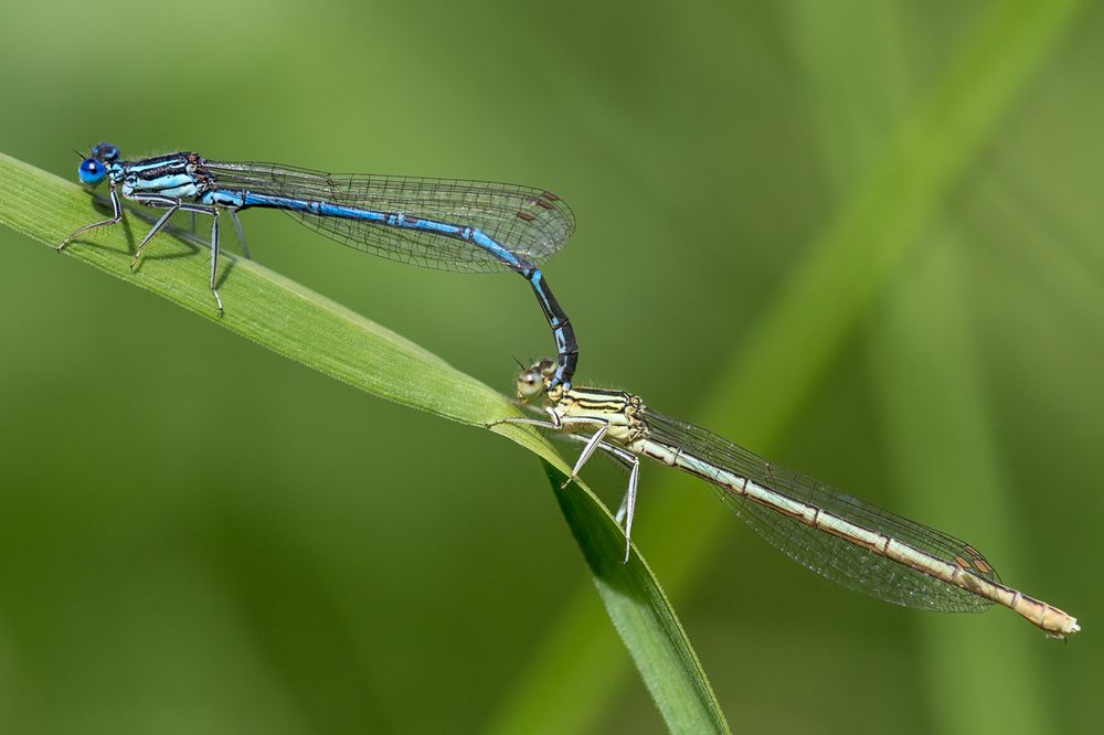Photograph by Сергей Алексеев