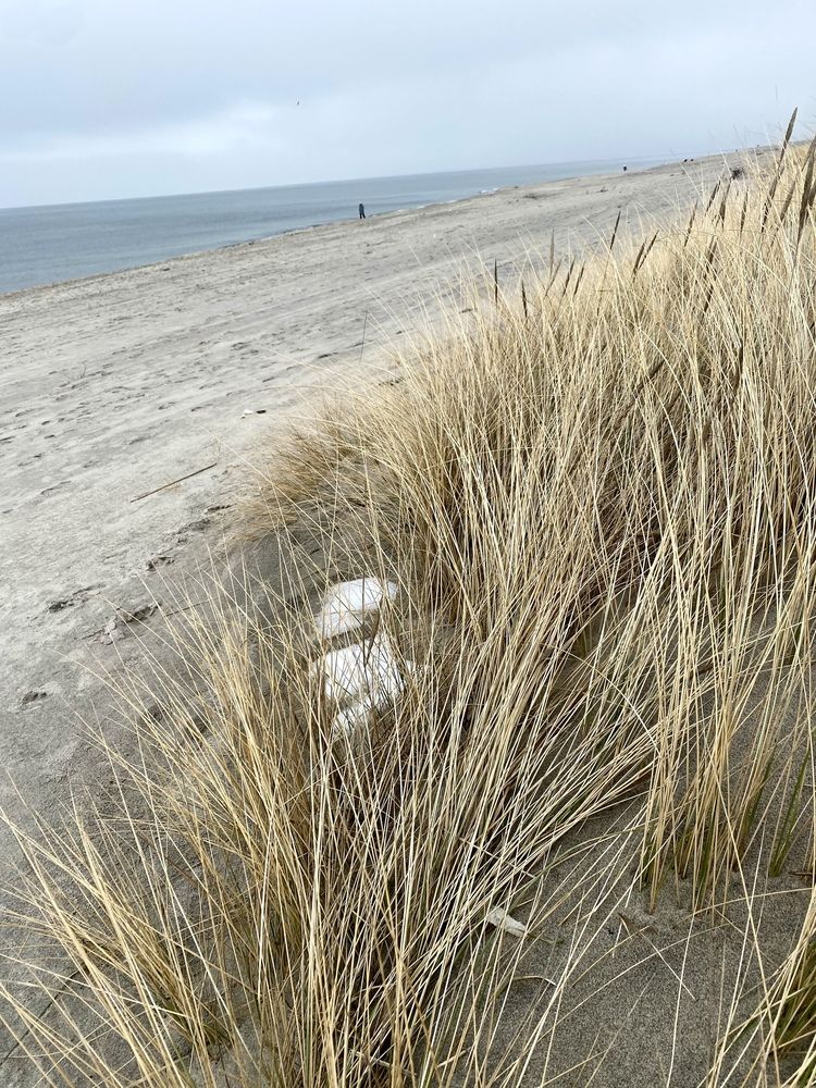 Photograph by Лапаева Наталья