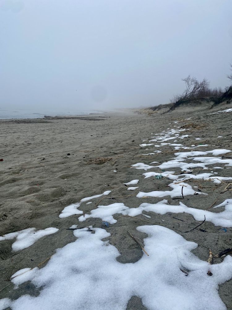 Photograph by Лапаева Наталья