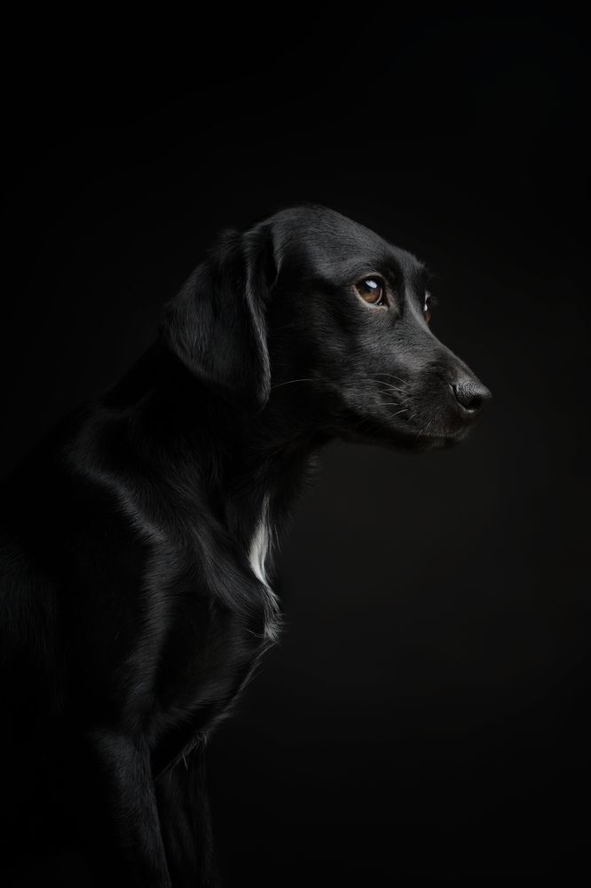 Фотография автора Almasconpelo