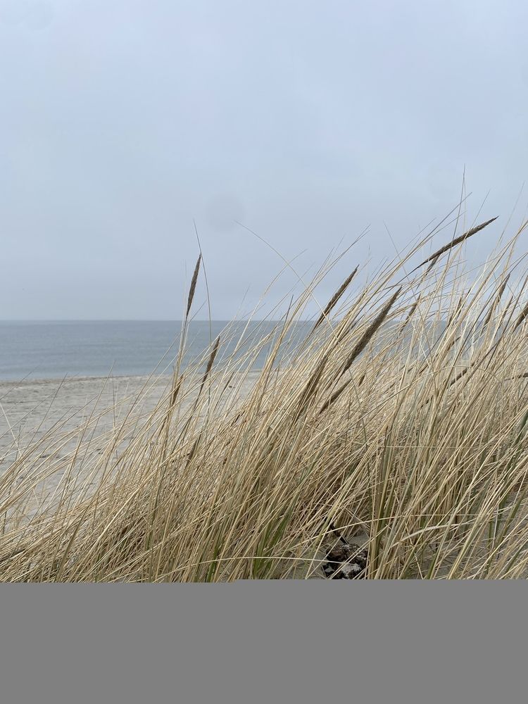 Photograph by Лапаева Наталья