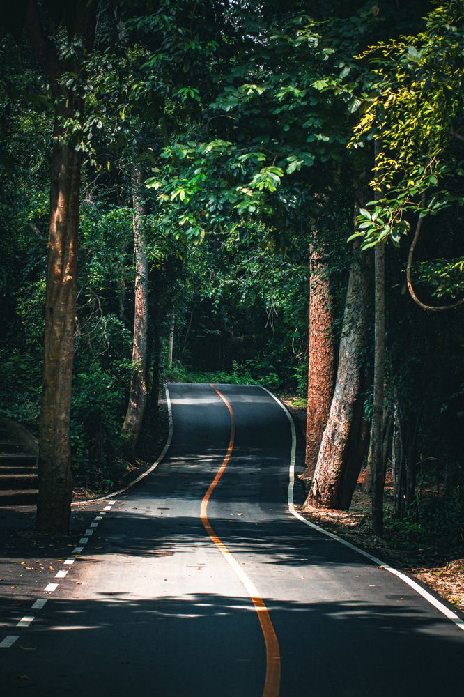 Photograph by Victor Tuzhikov