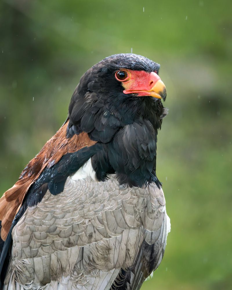 Photograph by Tamara Lebón Sánchez