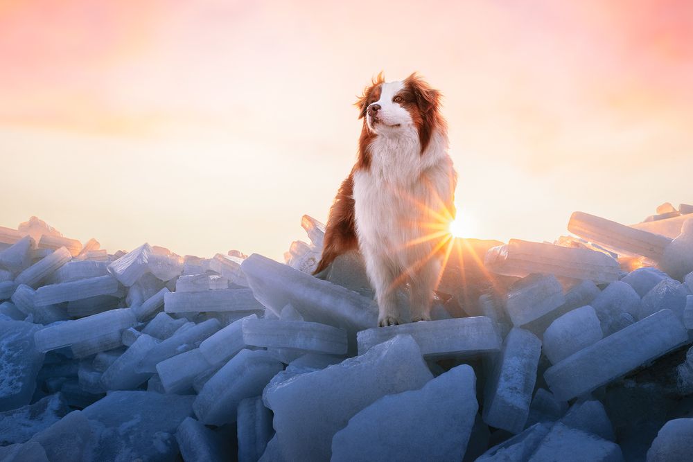 Photograph by Алексей Соколенко