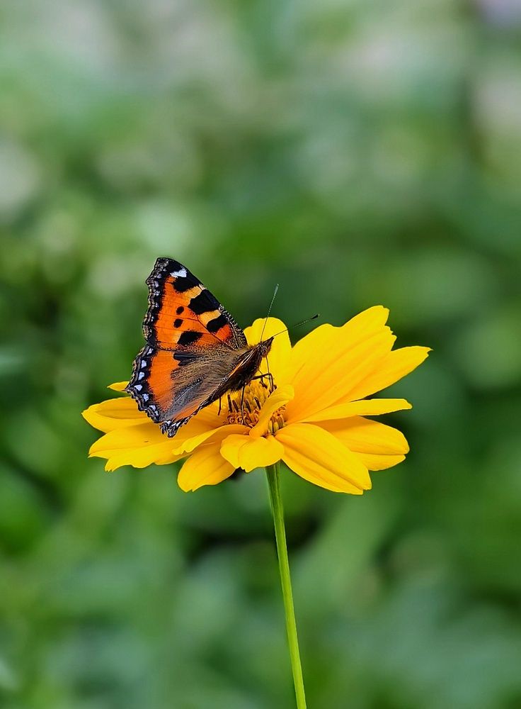 Photograph by Анастасия Ермакова