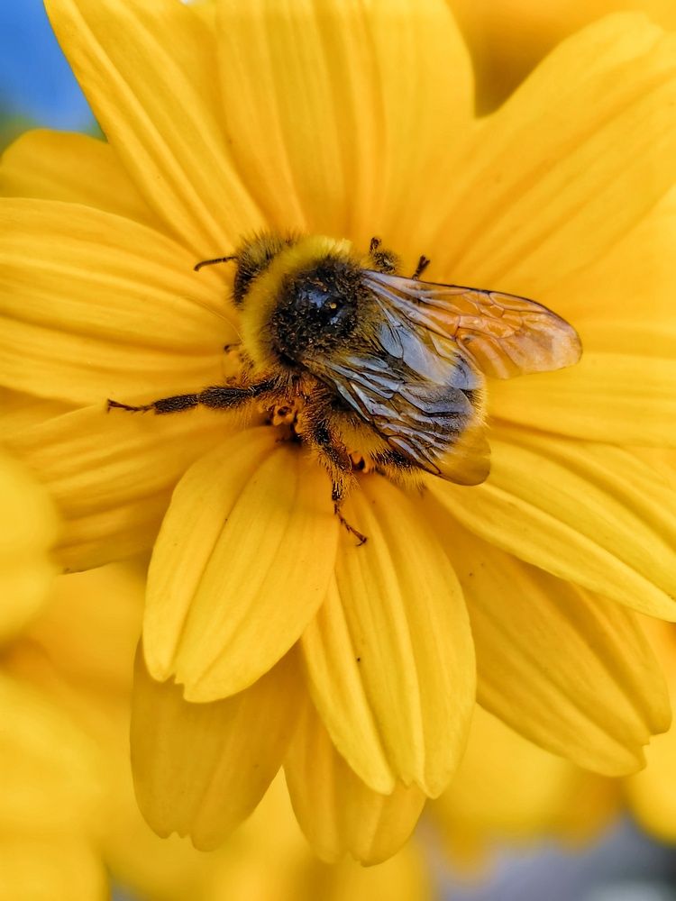 Photograph by Анастасия Ермакова