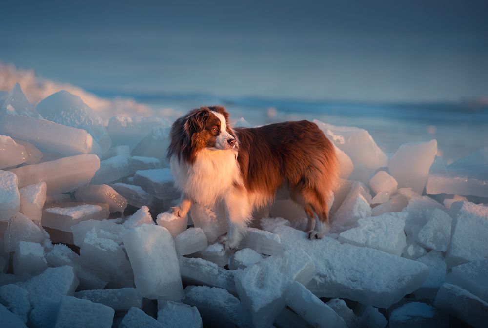 Photograph by Алексей Соколенко