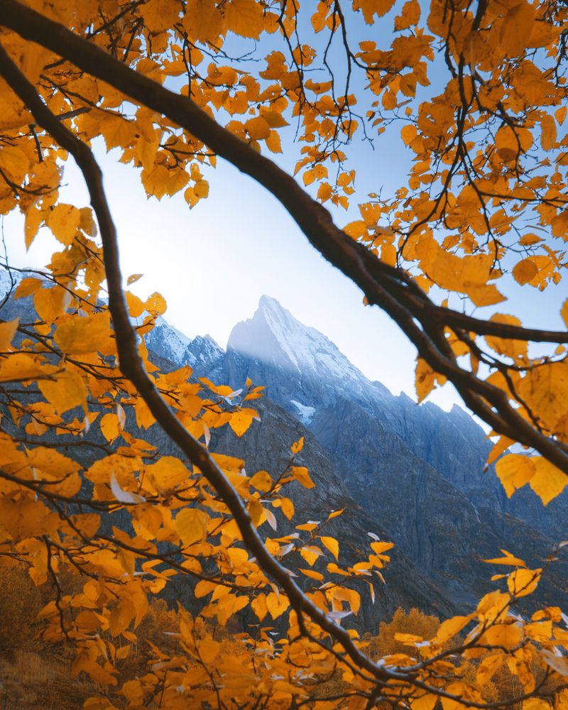 Photograph by Алексей Соколенко