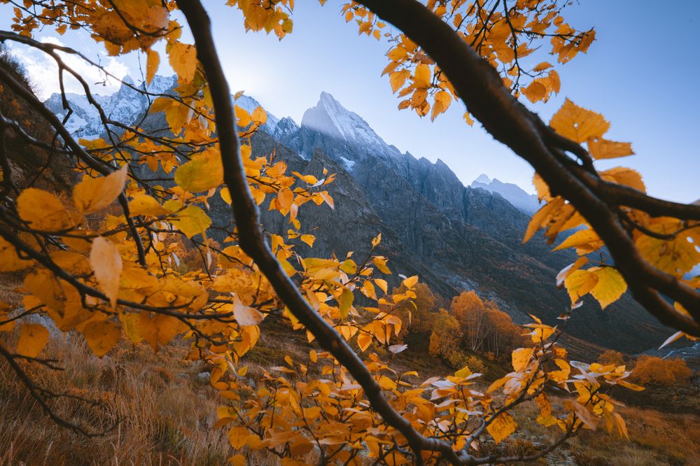 Photograph by Алексей Соколенко