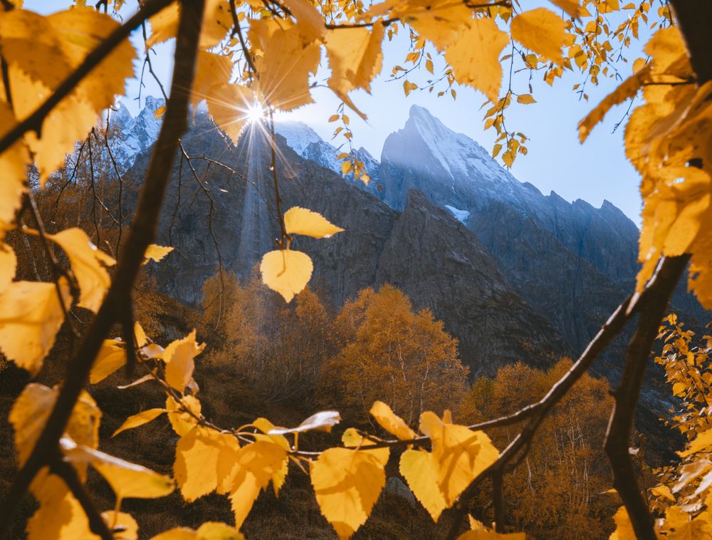 Photograph by Алексей Соколенко