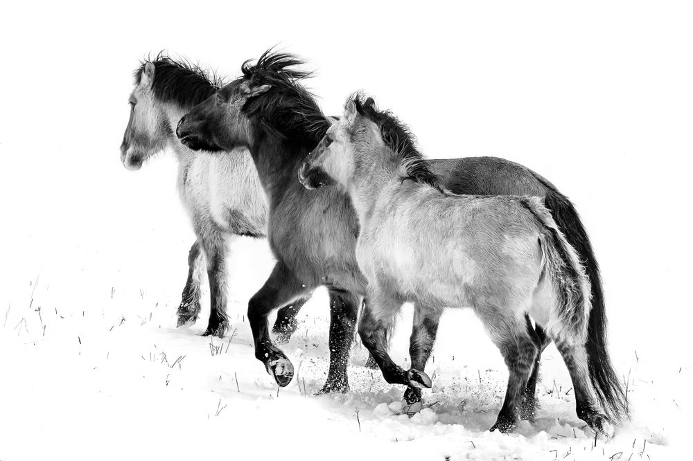 Photograph by Валерия Трейтяк