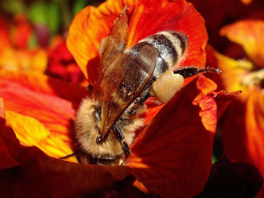 Photograph by Андрей Савёлов