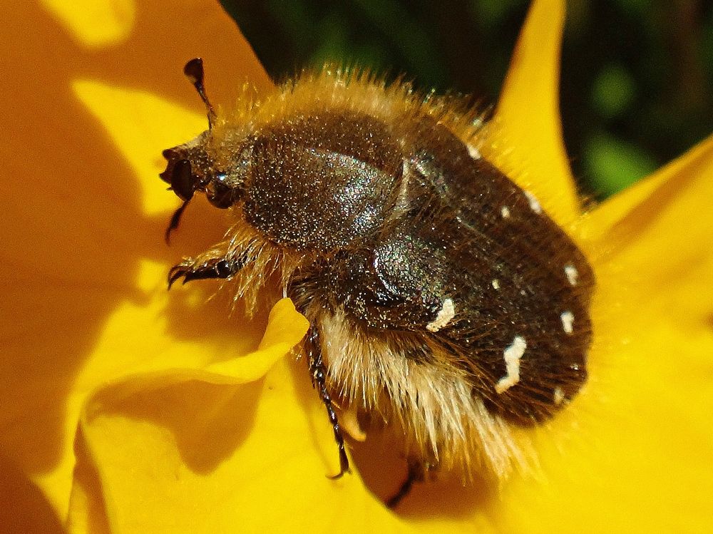 Photograph by Андрей Савёлов