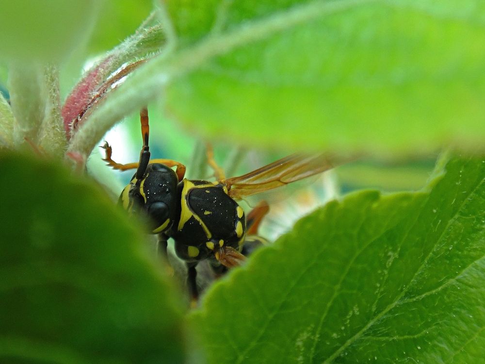 Photograph by Андрей Савёлов