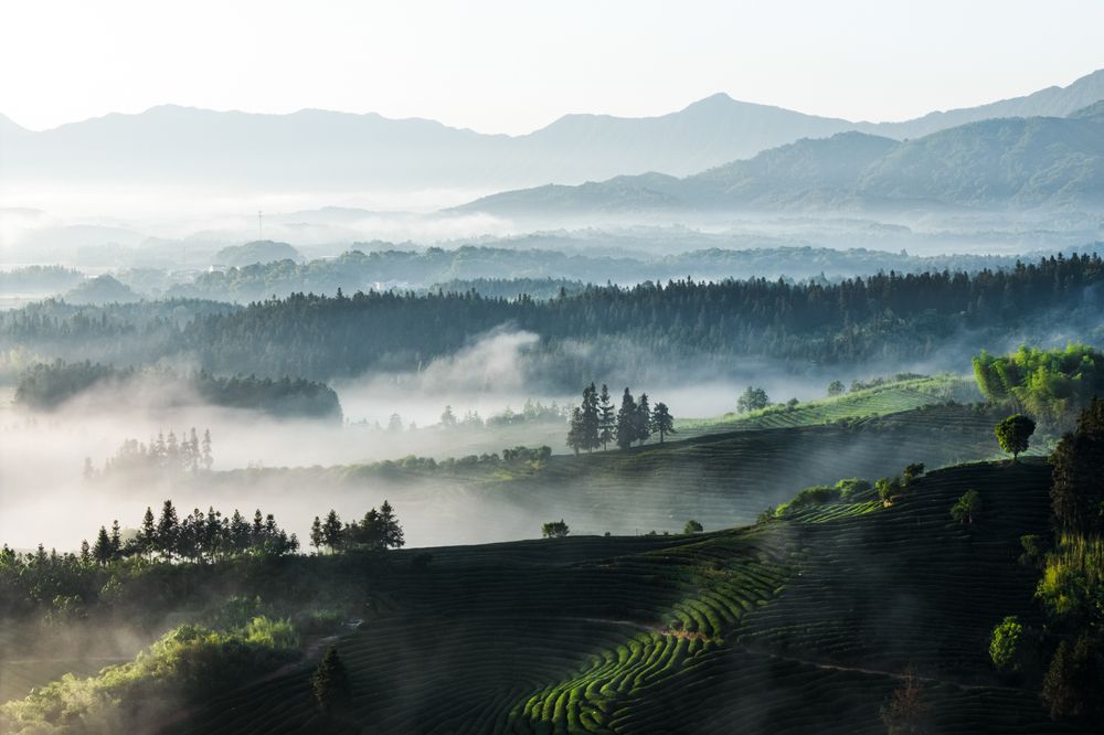 Photograph by Yingzhen Dai