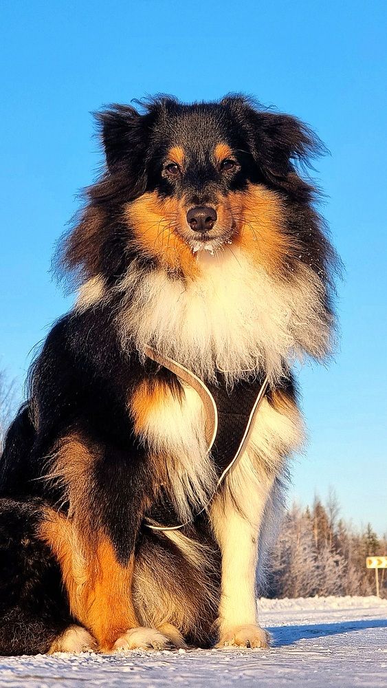 Photograph by Сергей Хитра